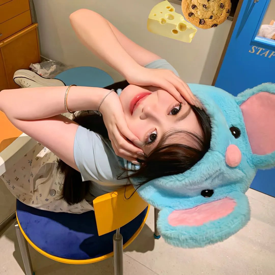 你的情歌