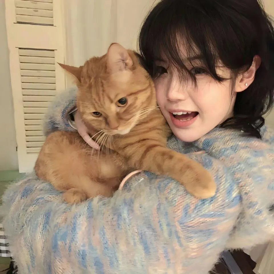 一个关于天使的美丽谎言