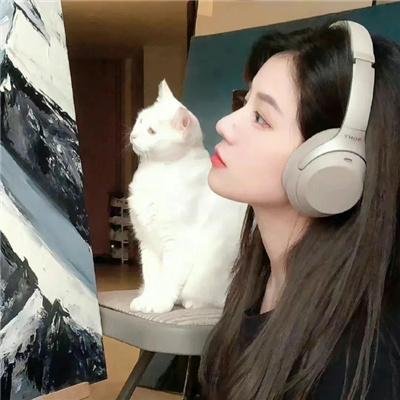 酋长之子塔赞