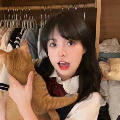 蜘蛛与郁金香